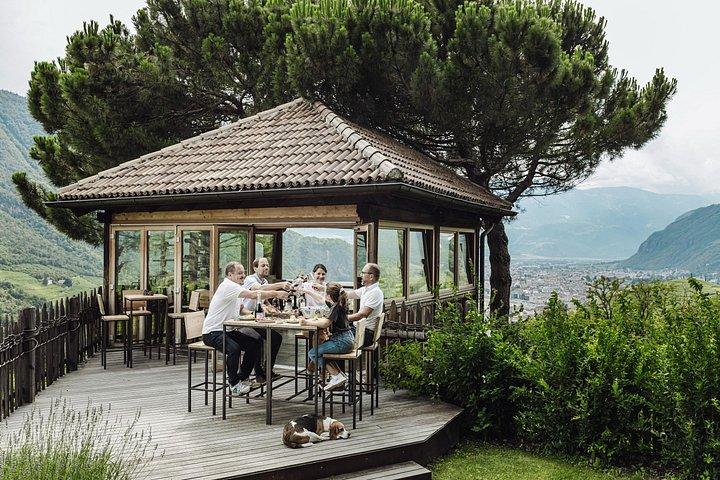 Guided winery tour with tasting in Bolzano at the SKYWINE PAVILLON